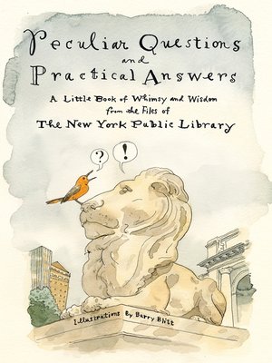 Peculiar Questions and Practical Answers - ebook